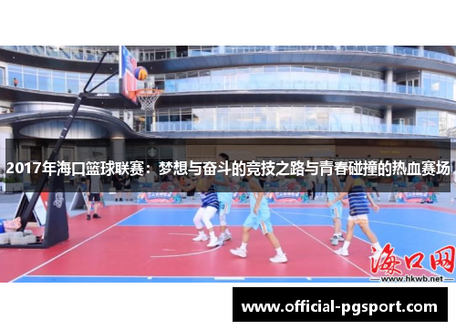 2017年海口篮球联赛：梦想与奋斗的竞技之路与青春碰撞的热血赛场