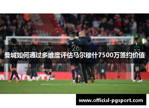 曼城如何通过多维度评估马尔穆什7500万签约价值