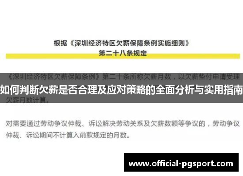如何判断欠薪是否合理及应对策略的全面分析与实用指南