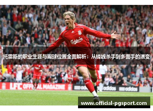 托雷斯的职业生涯与踢球位置全面解析：从锋线杀手到多面手的演变