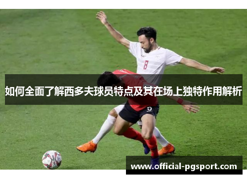 如何全面了解西多夫球员特点及其在场上独特作用解析