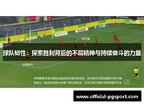 球队韧性：探索胜利背后的不屈精神与持续奋斗的力量