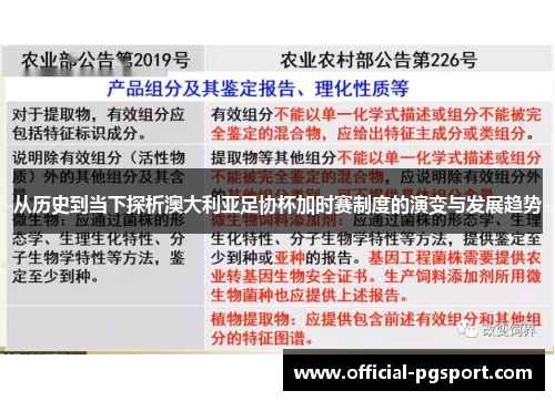 从历史到当下探析澳大利亚足协杯加时赛制度的演变与发展趋势