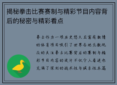 揭秘拳击比赛赛制与精彩节目内容背后的秘密与精彩看点